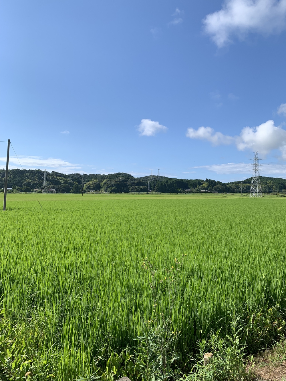 いすみ鉄道沿いを10km、ゴールは海の写真6