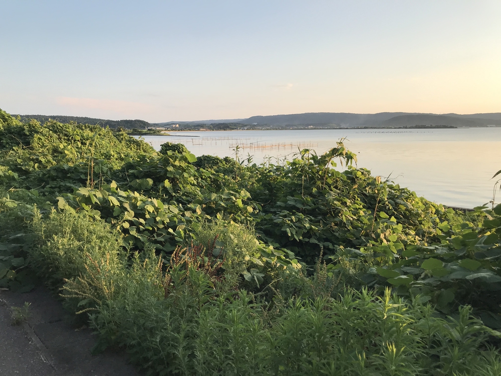 和倉温泉をぐるりと廻るルートの写真3