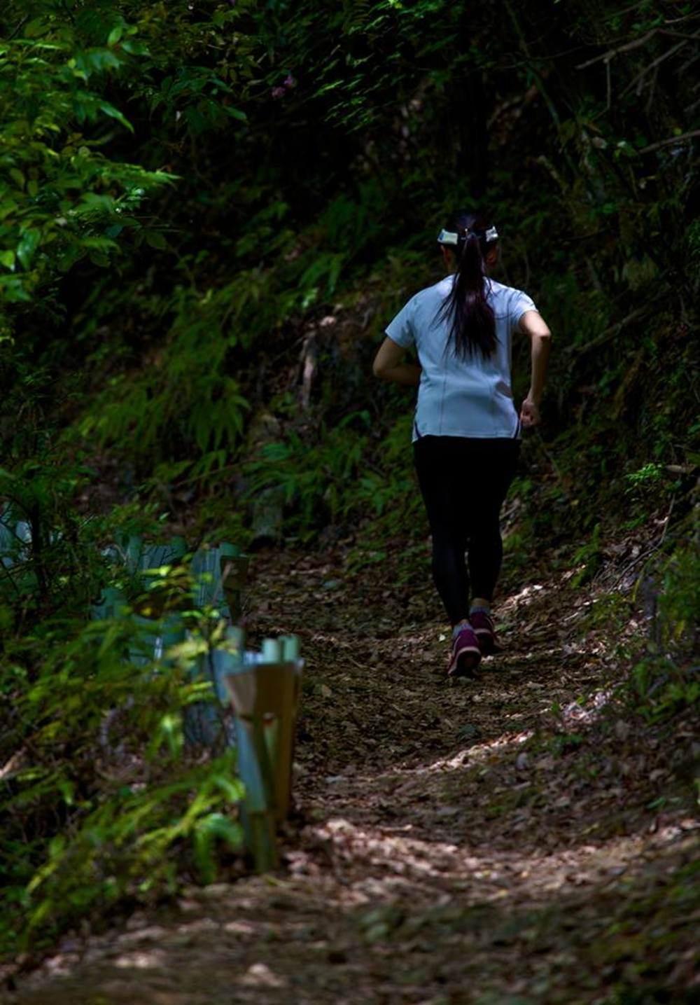 京都市の秘境★嵐山〜小倉山〜保津峡の写真3