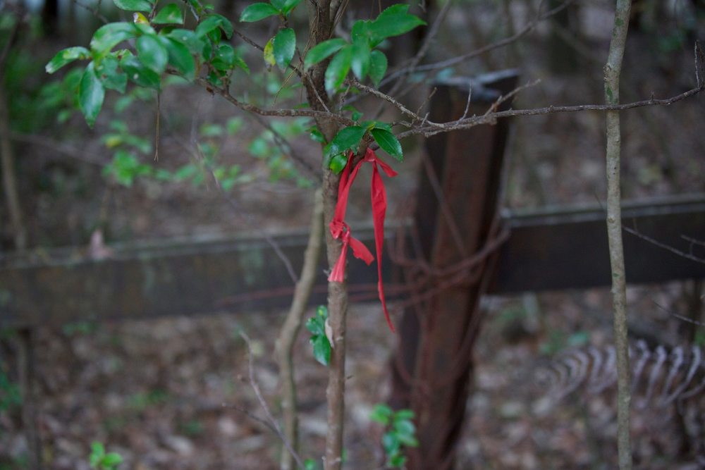 京都市の秘境★嵐山〜小倉山〜保津峡の写真4