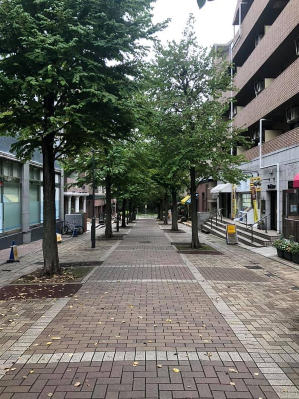 元住吉からぐるっとコースの写真4