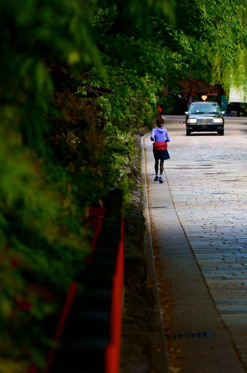 はんなり行きまひょ★白川一本橋(行者橋)の写真6