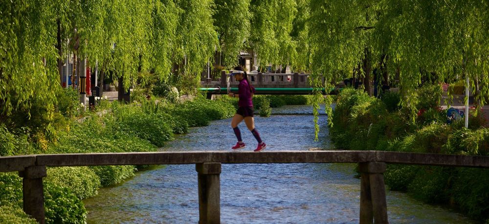 はんなり行きまひょ★白川一本橋(行者橋)の写真11