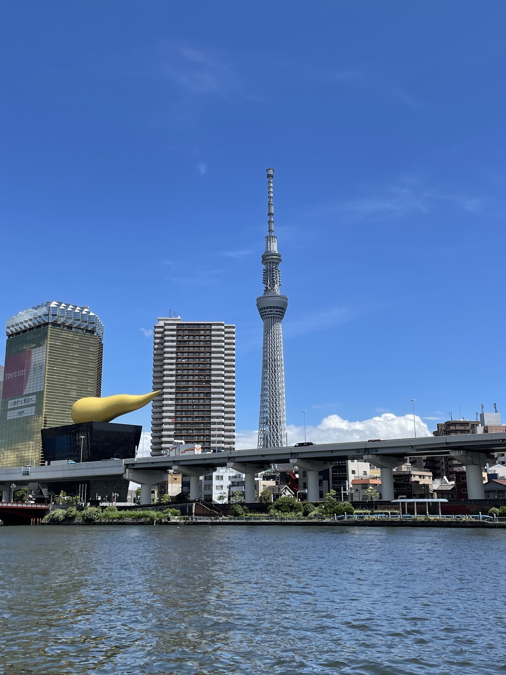 歌川広重と共にRUN 隅田川〜萬年橋の写真6
