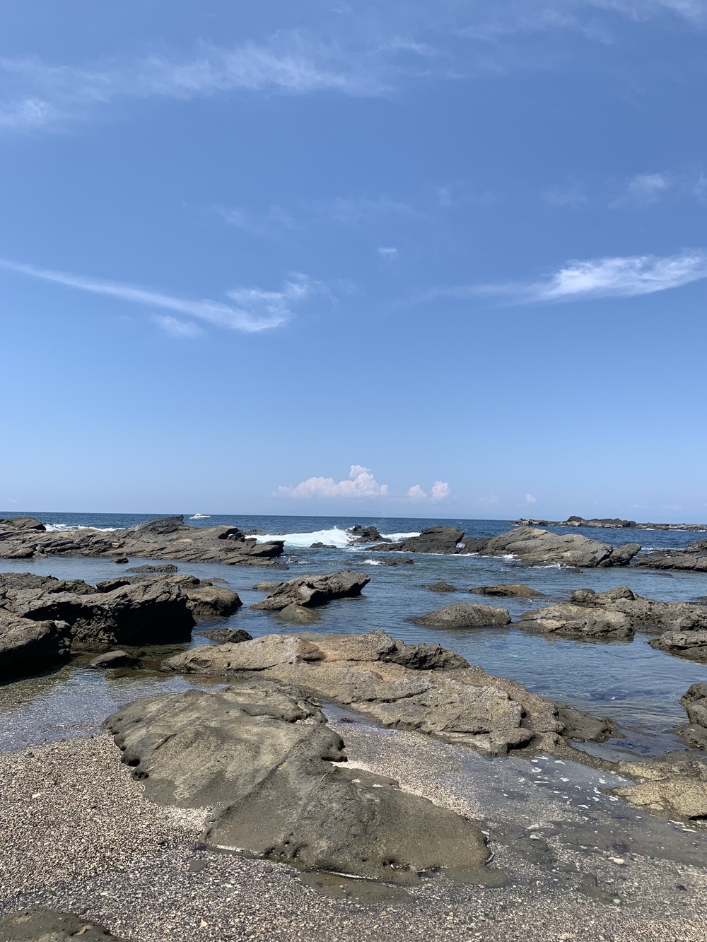 城ヶ島一周🐟海とマグロを楽しむランの写真4