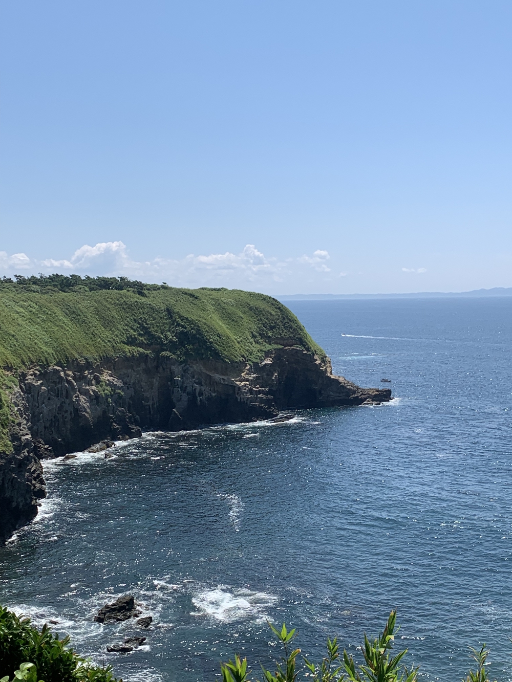 城ヶ島一周🐟海とマグロを楽しむランの写真5
