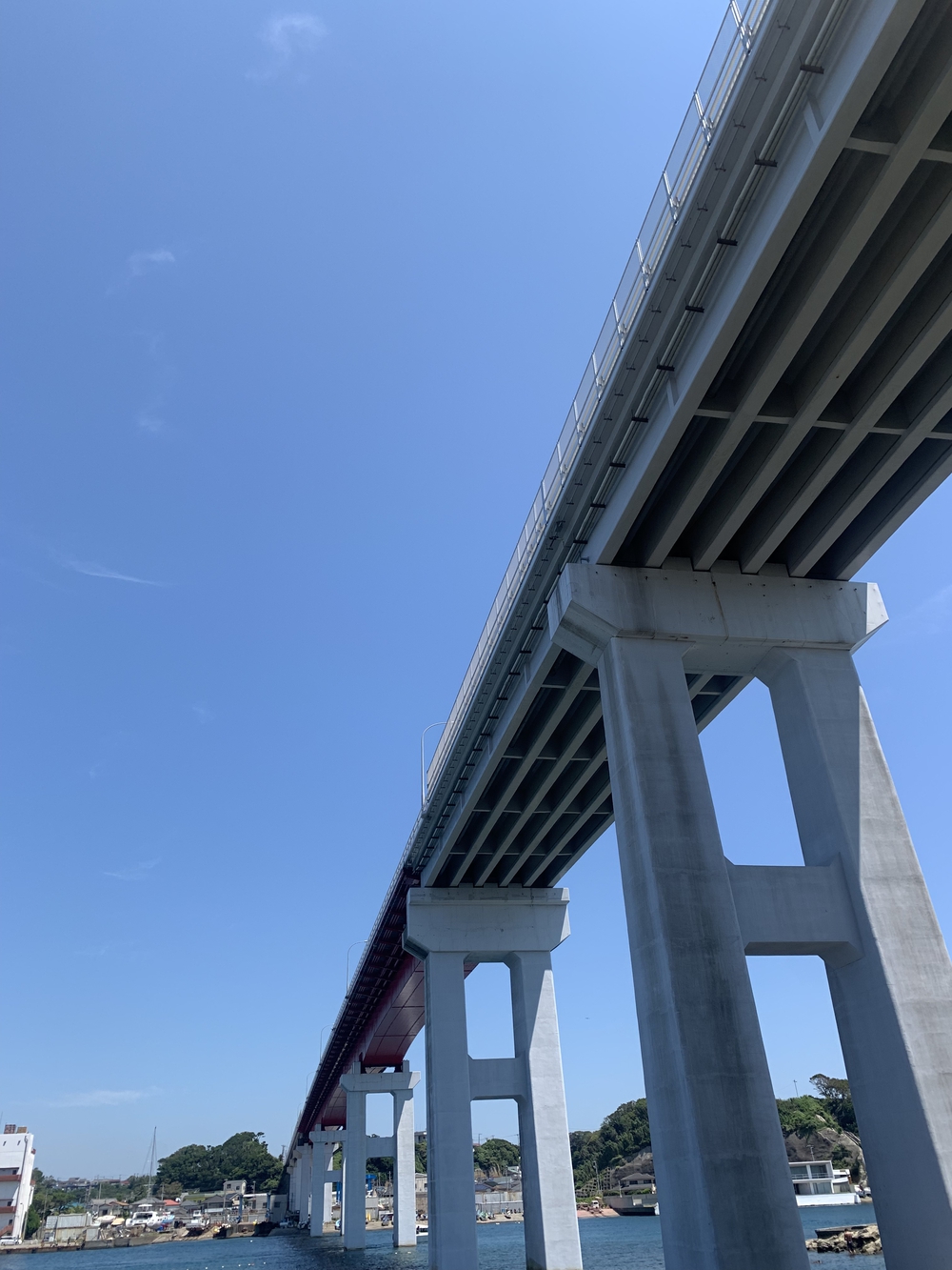 城ヶ島一周🐟海とマグロを楽しむランの写真7