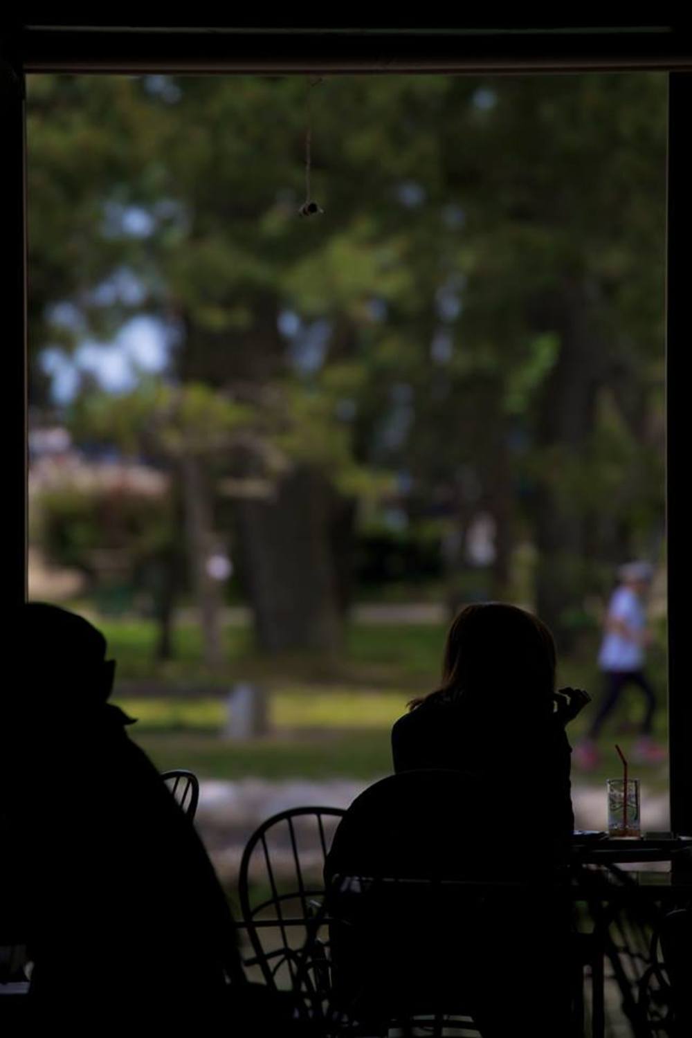 日本三景・丹後宮津の天橋立の写真6