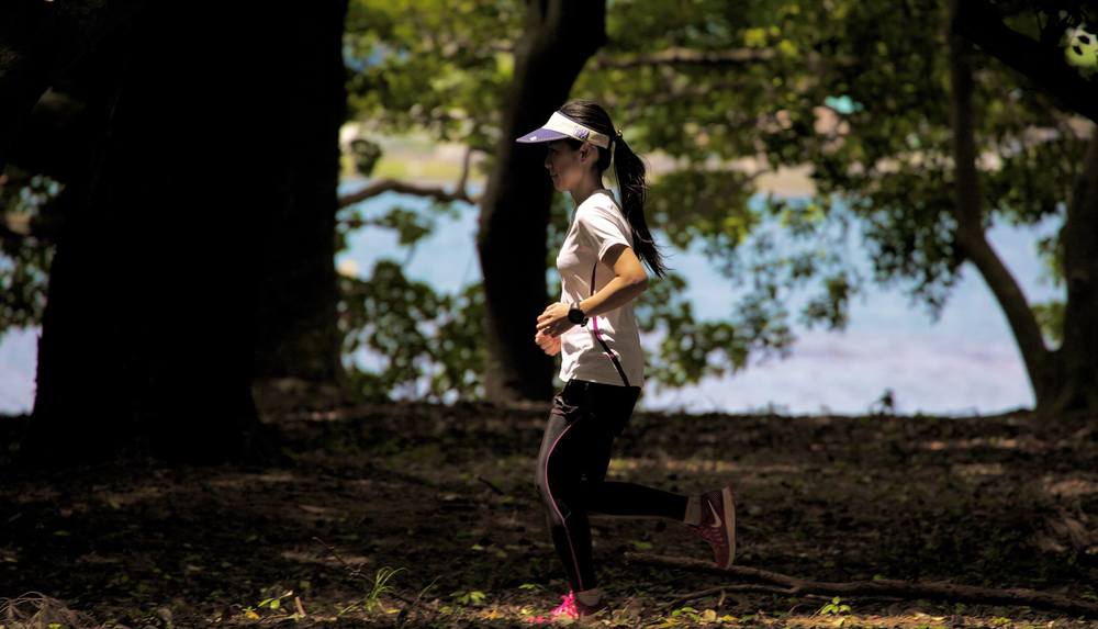 日本三景・丹後宮津の天橋立の写真9