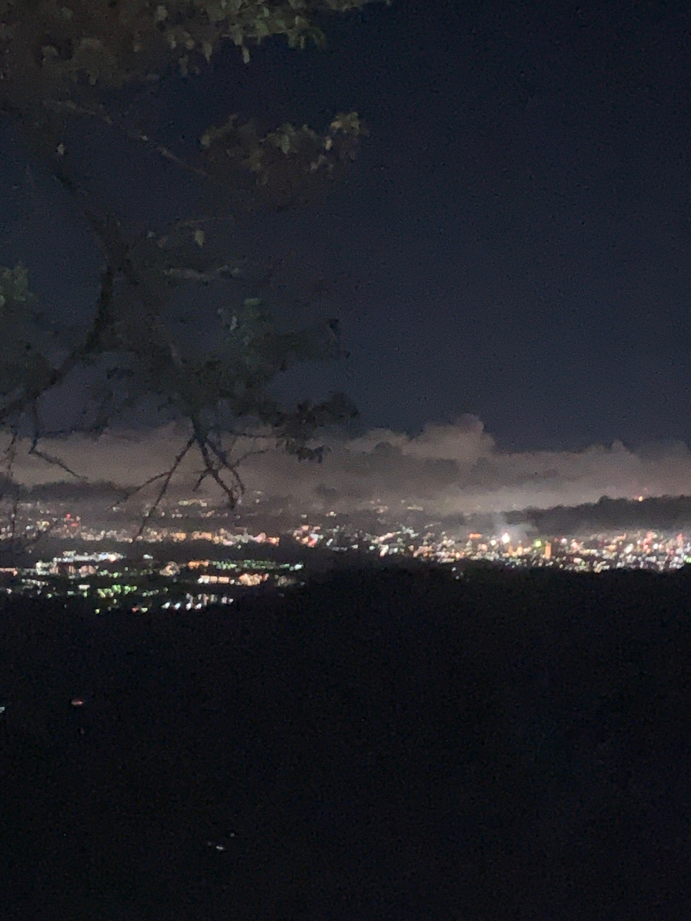 高尾山オーバーナイトトレイルの写真3