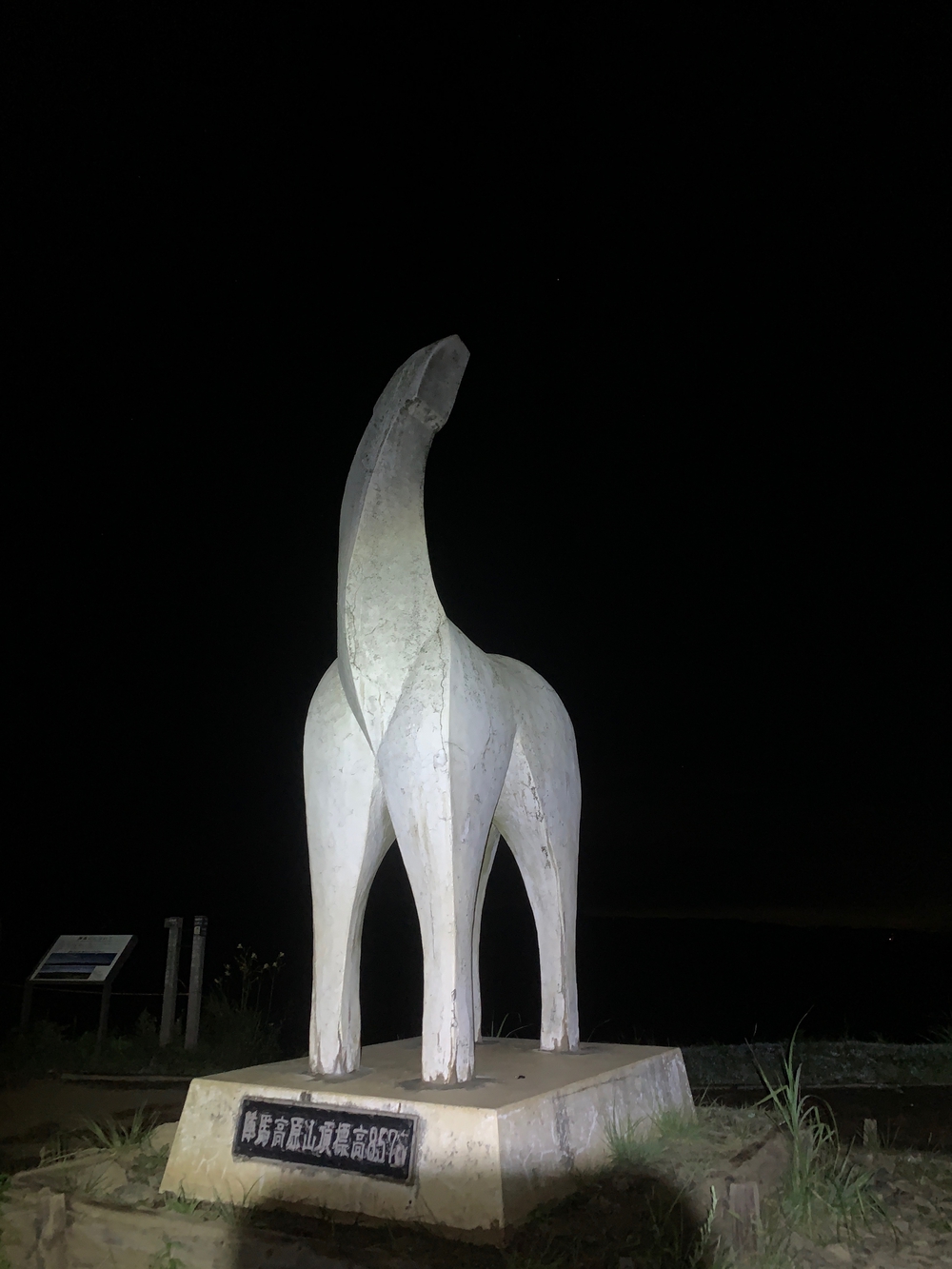 高尾山オーバーナイトトレイルの写真4