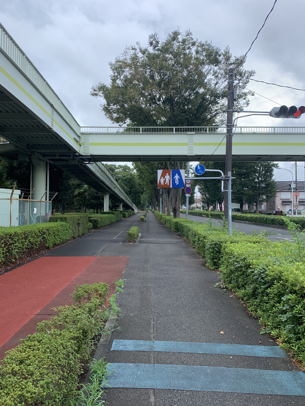 所沢聖火リレーコースの写真3