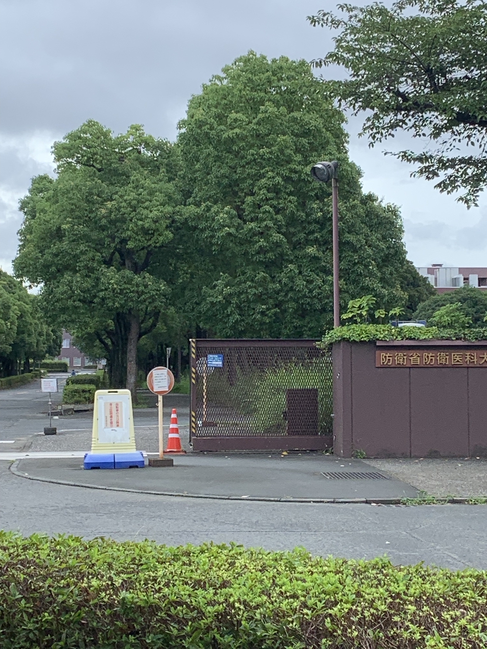 所沢聖火リレーコースの写真4