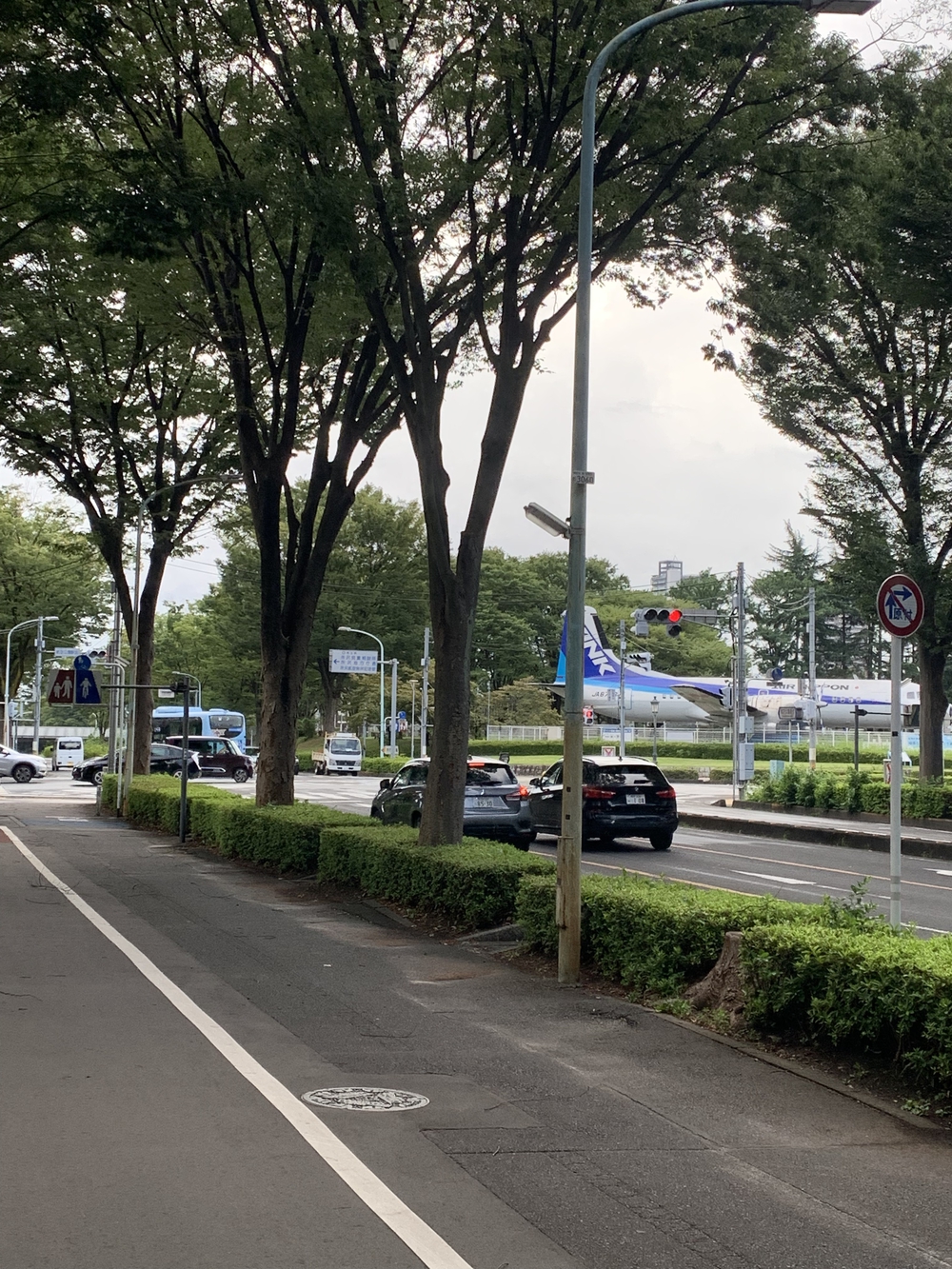 所沢聖火リレーコースの写真5