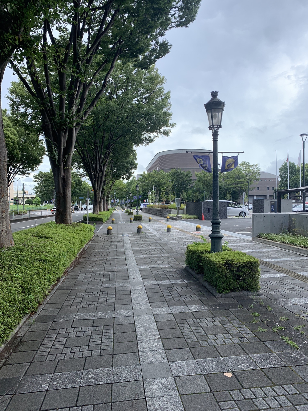 所沢聖火リレーコースの写真8