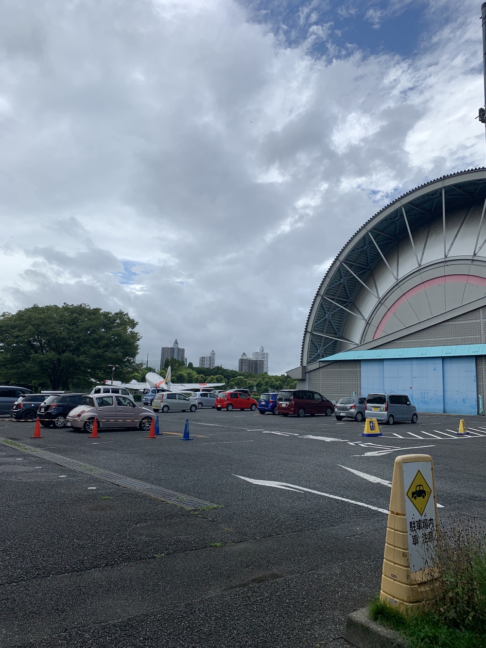 所沢聖火リレーコースの写真10