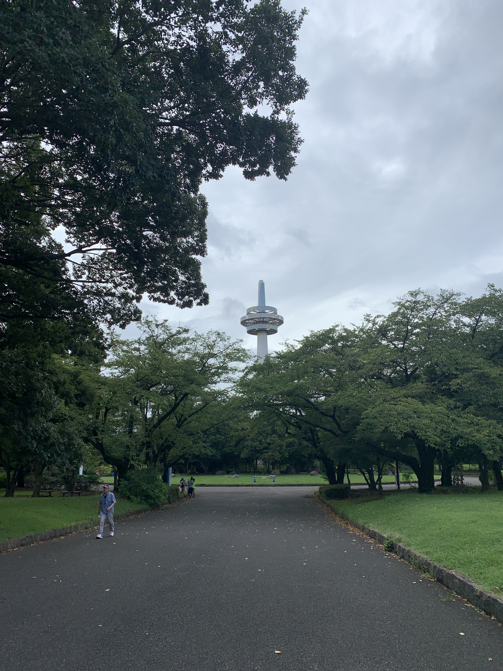 所沢聖火リレーコースの写真13