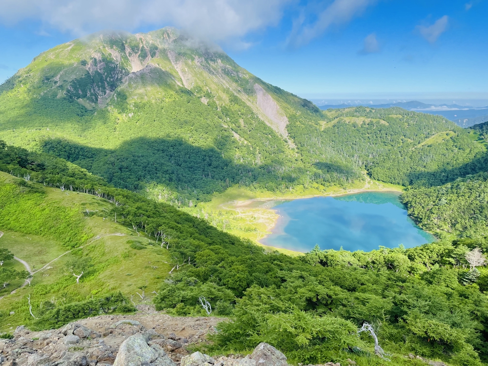 高山植物の女王コマクサの咲く日光白根の写真5