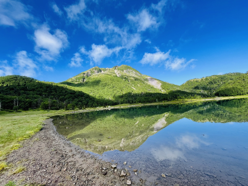 高山植物の女王コマクサの咲く日光白根の写真7