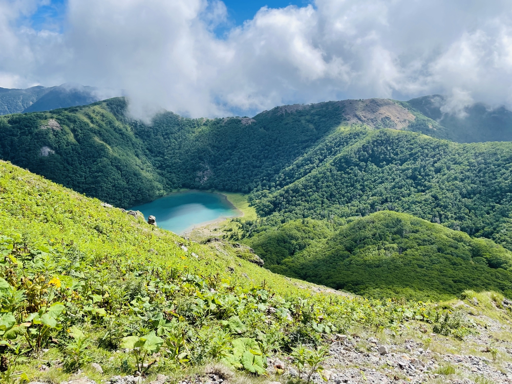 高山植物の女王コマクサの咲く日光白根の写真8