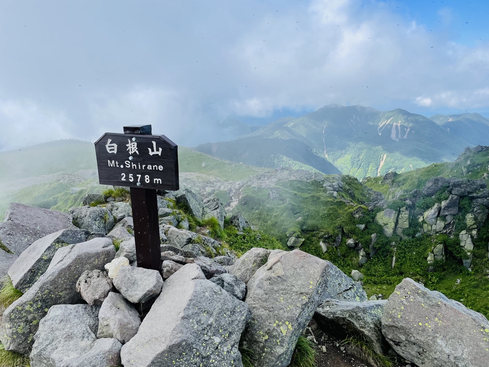高山植物の女王コマクサの咲く日光白根の写真9