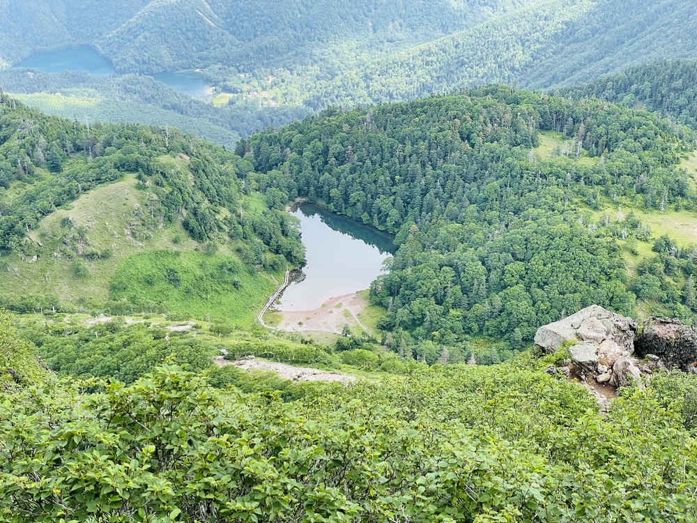 高山植物の女王コマクサの咲く日光白根の写真10