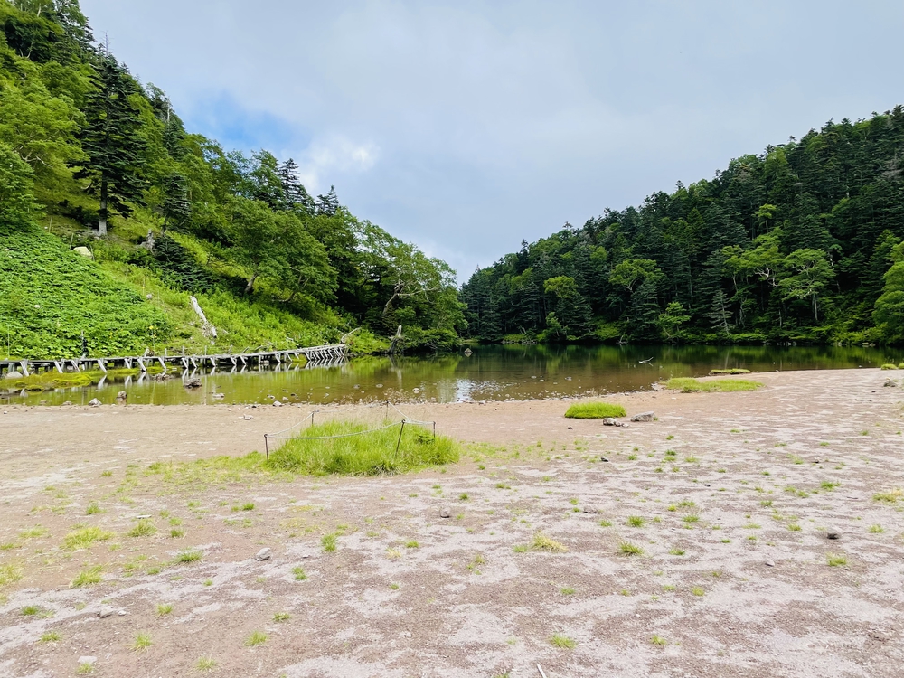 高山植物の女王コマクサの咲く日光白根の写真11