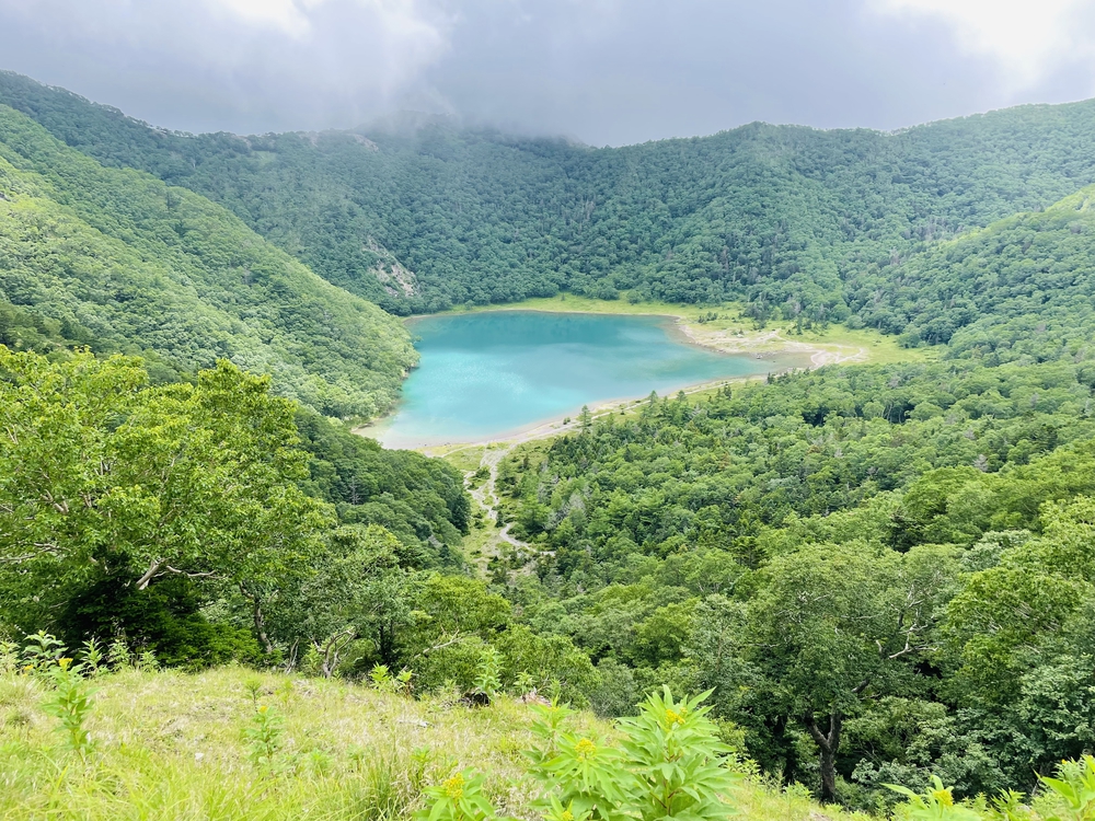 高山植物の女王コマクサの咲く日光白根の写真13