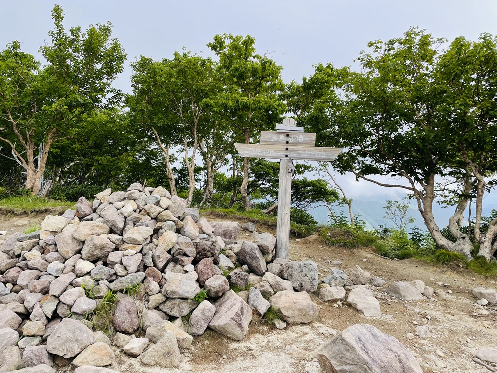 高山植物の女王コマクサの咲く日光白根の写真14