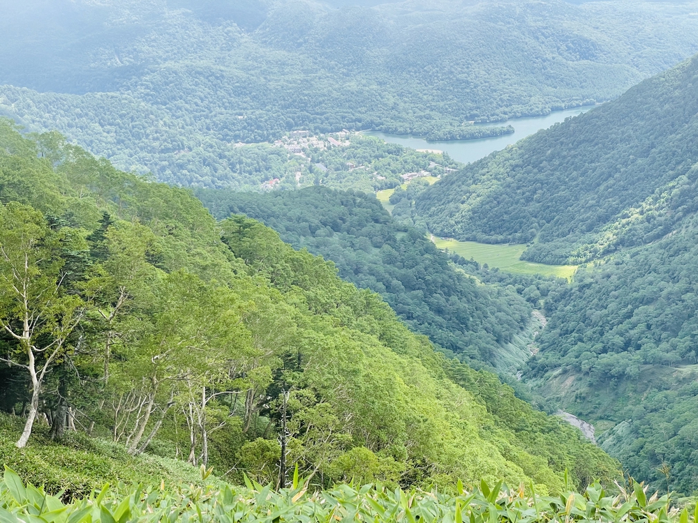 高山植物の女王コマクサの咲く日光白根の写真15