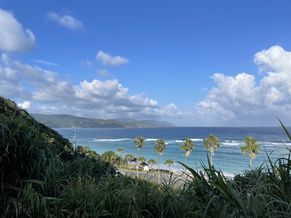 大浜海浜公園絶景コースの写真4