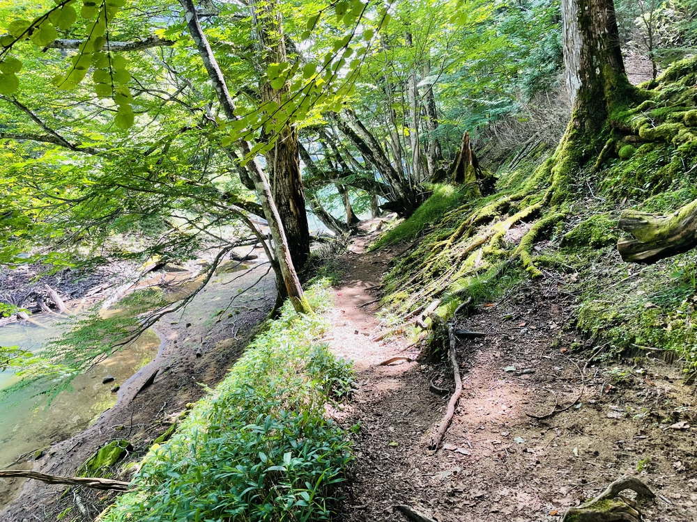 日光湯本から湖巡り太郎山までの周回の写真5