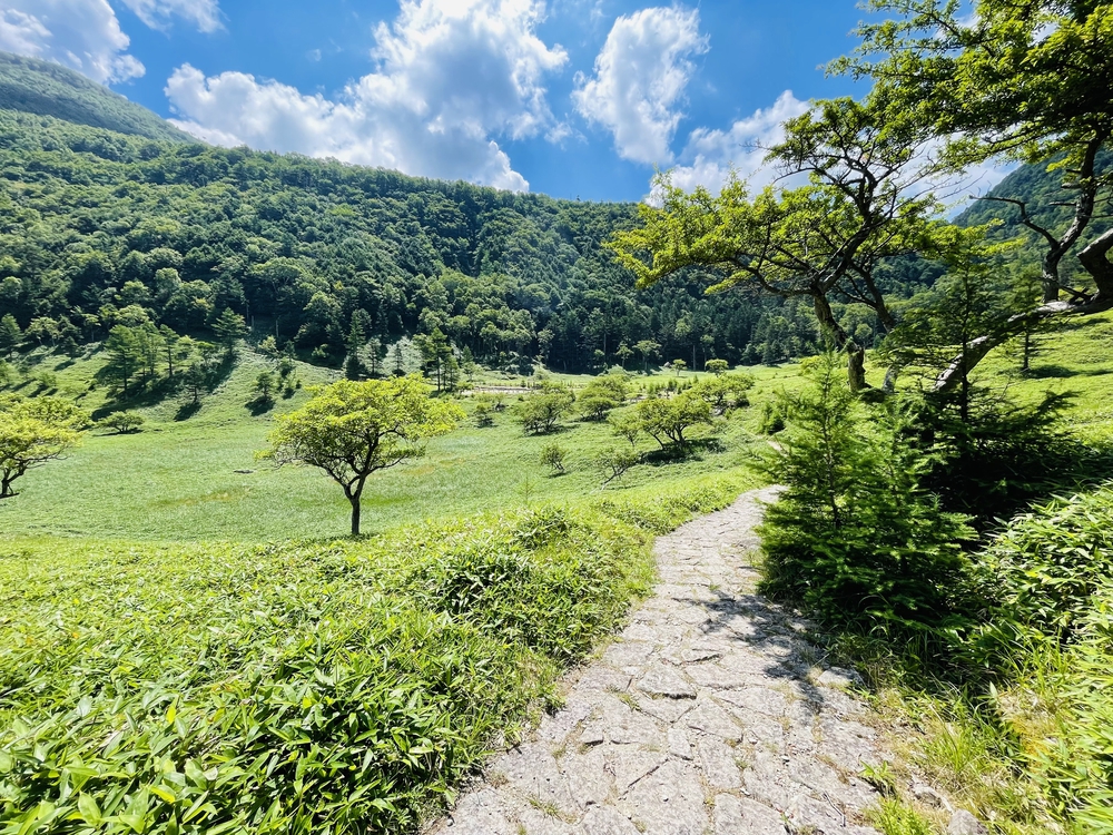 日光湯本から湖巡り太郎山までの周回の写真7
