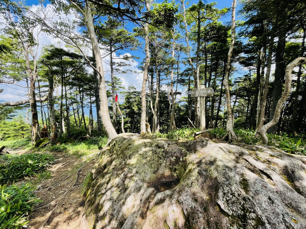 日光湯本から湖巡り太郎山までの周回の写真8