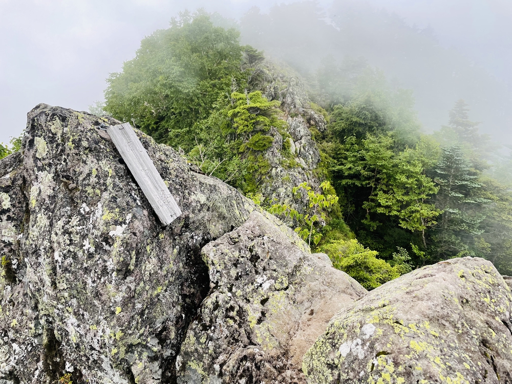 日光湯本から湖巡り太郎山までの周回の写真10