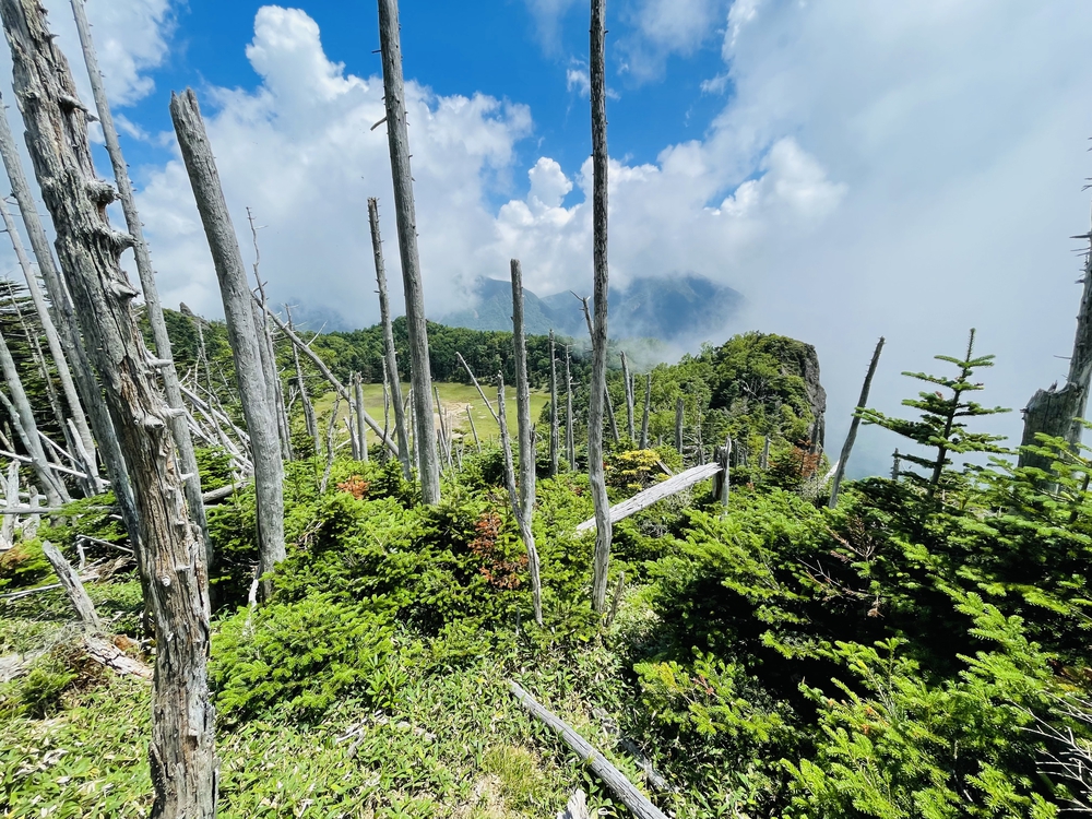 日光湯本から湖巡り太郎山までの周回の写真11
