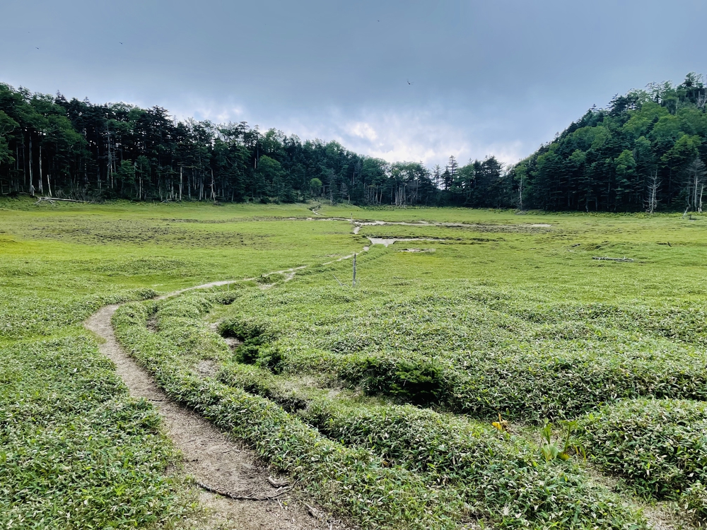 日光湯本から湖巡り太郎山までの周回の写真14