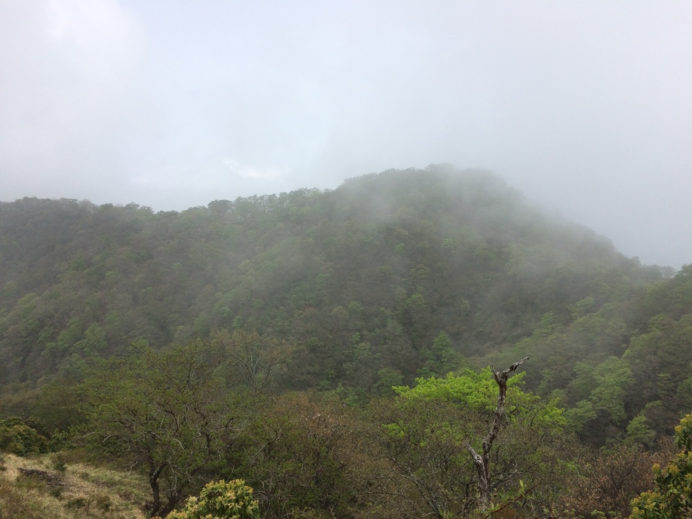 坂練といえばココ！塔ノ岳への写真3