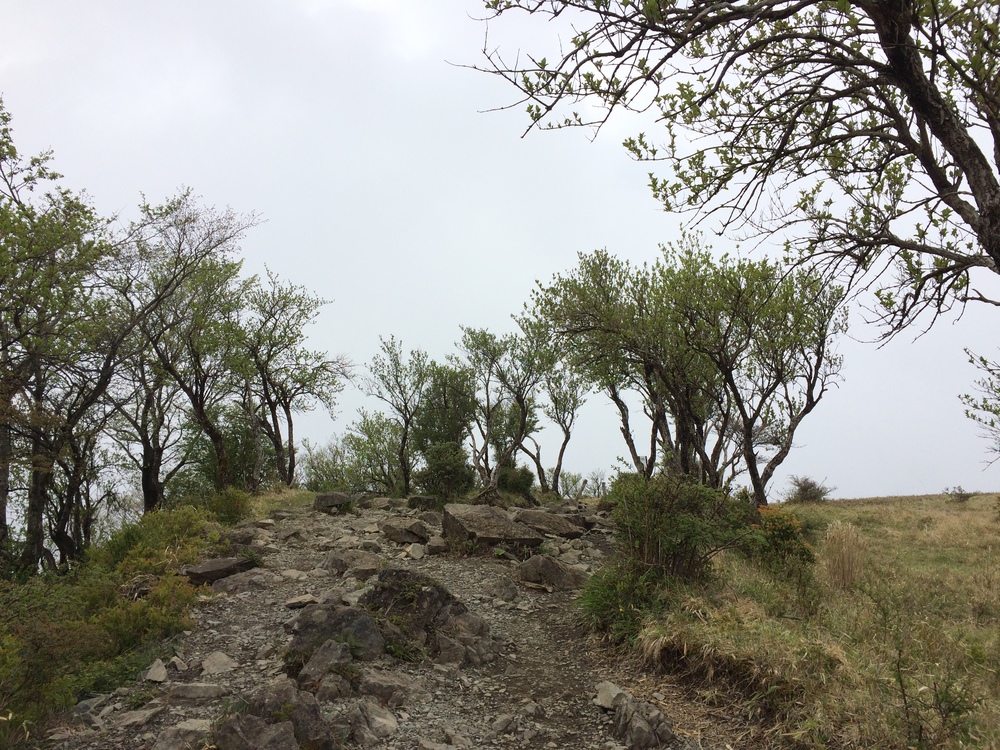 坂練といえばココ！塔ノ岳への写真4