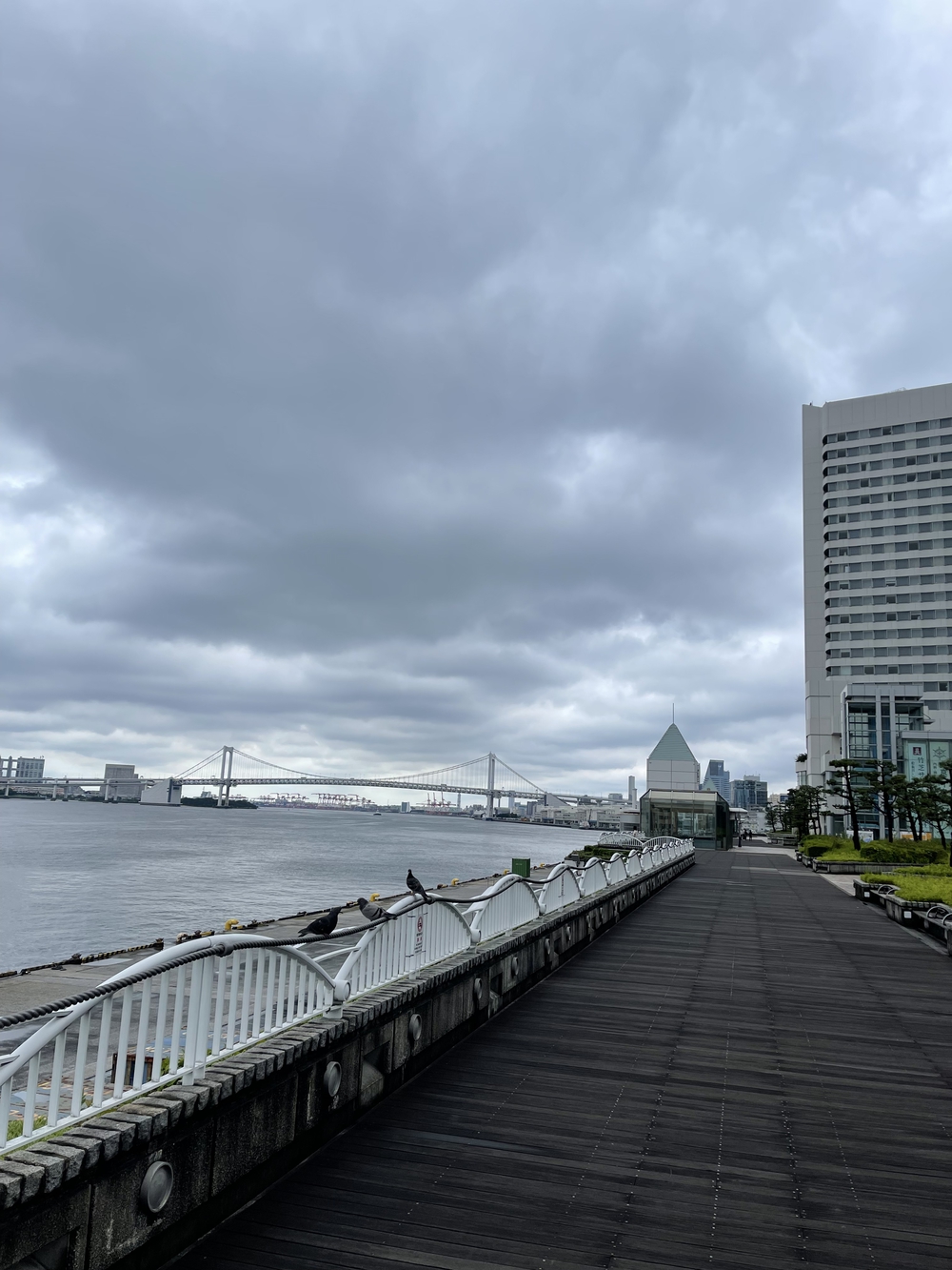 レインボーブリッジ遊歩道　ランニングコースの写真15