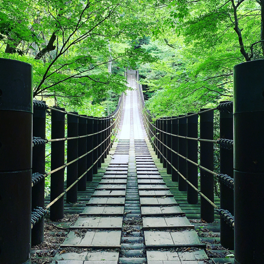 茨城の秘境 花貫渓谷ラントリップ！の写真5