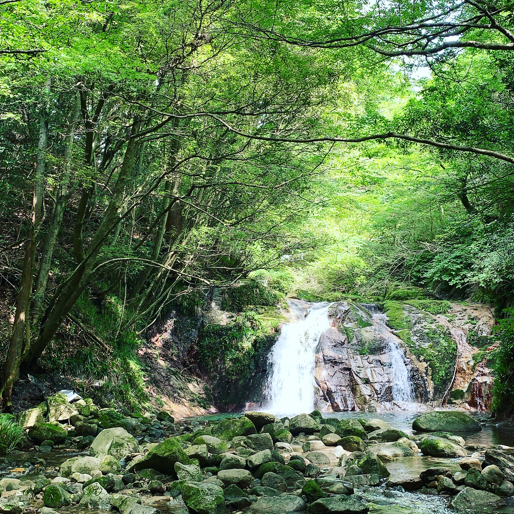 茨城の秘境 花貫渓谷ラントリップ！の写真7