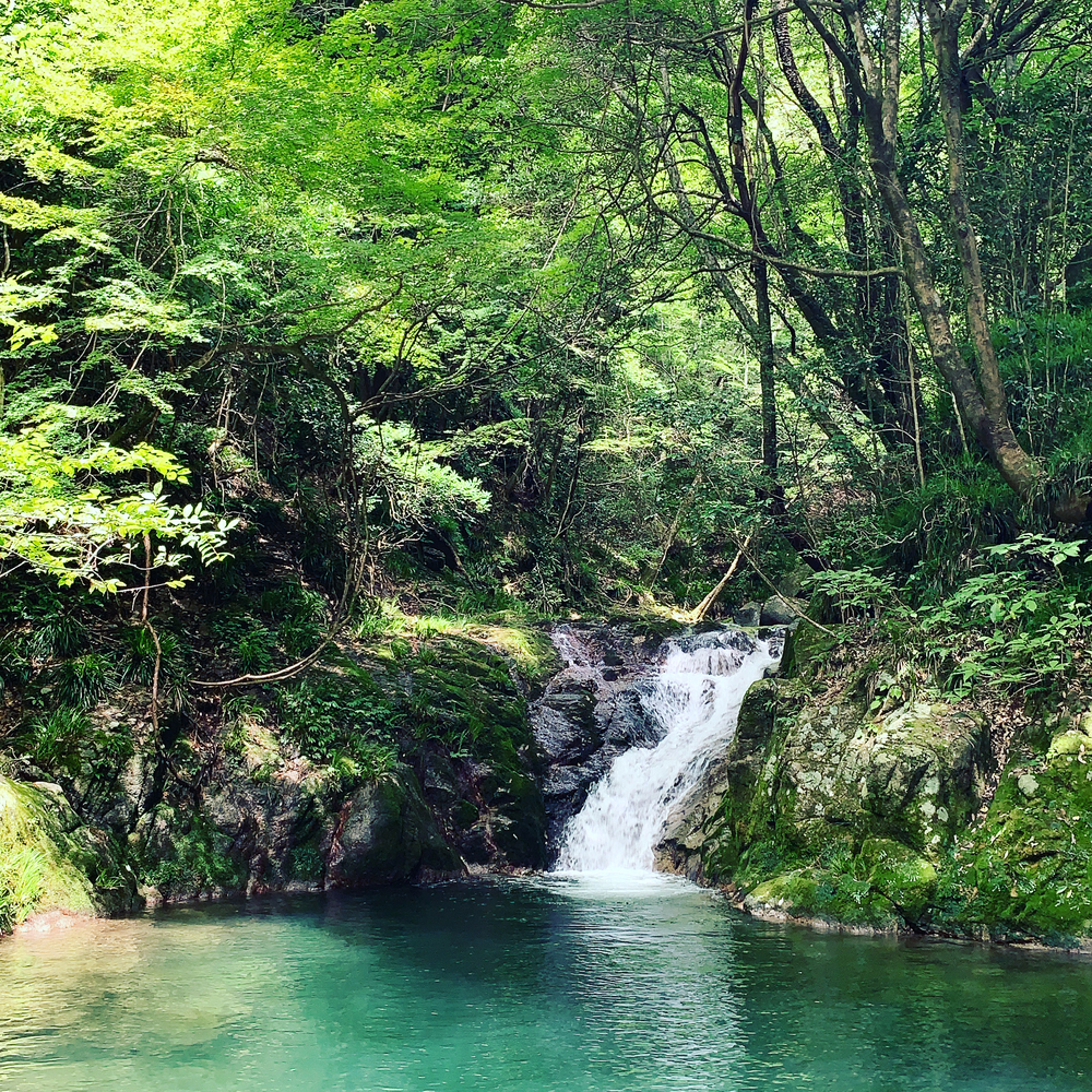 茨城の秘境 花貫渓谷ラントリップ！の写真8