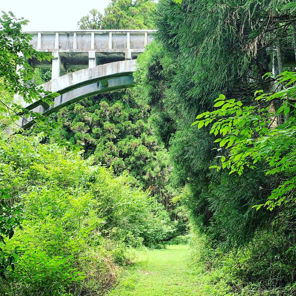 茨城の秘境 花貫渓谷ラントリップ！の写真10