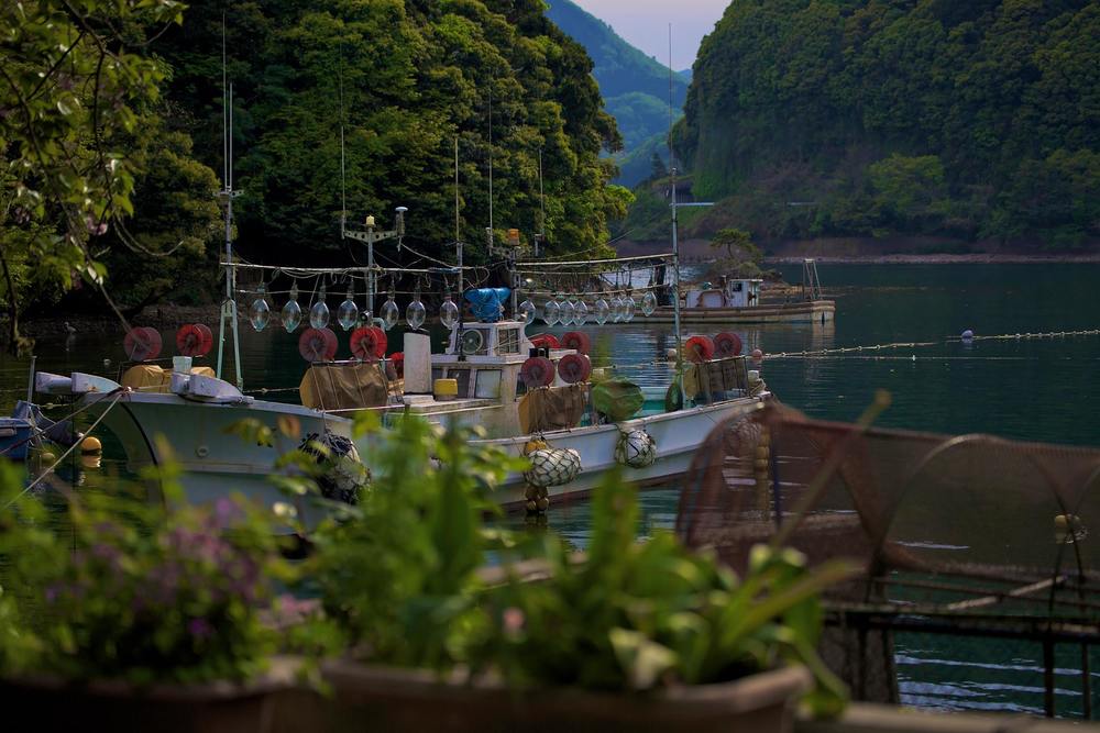 知る人ぞ知る。京都北部・伊根の舟屋群の写真4