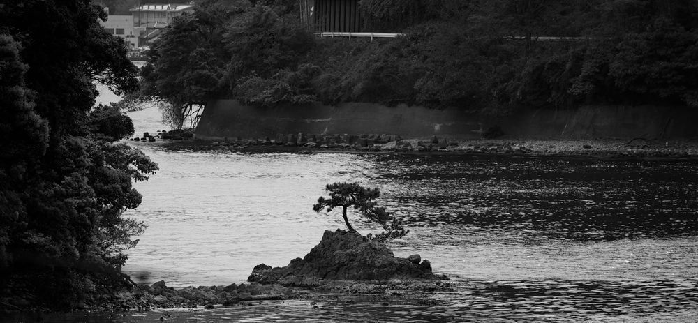 知る人ぞ知る。京都北部・伊根の舟屋群の写真9