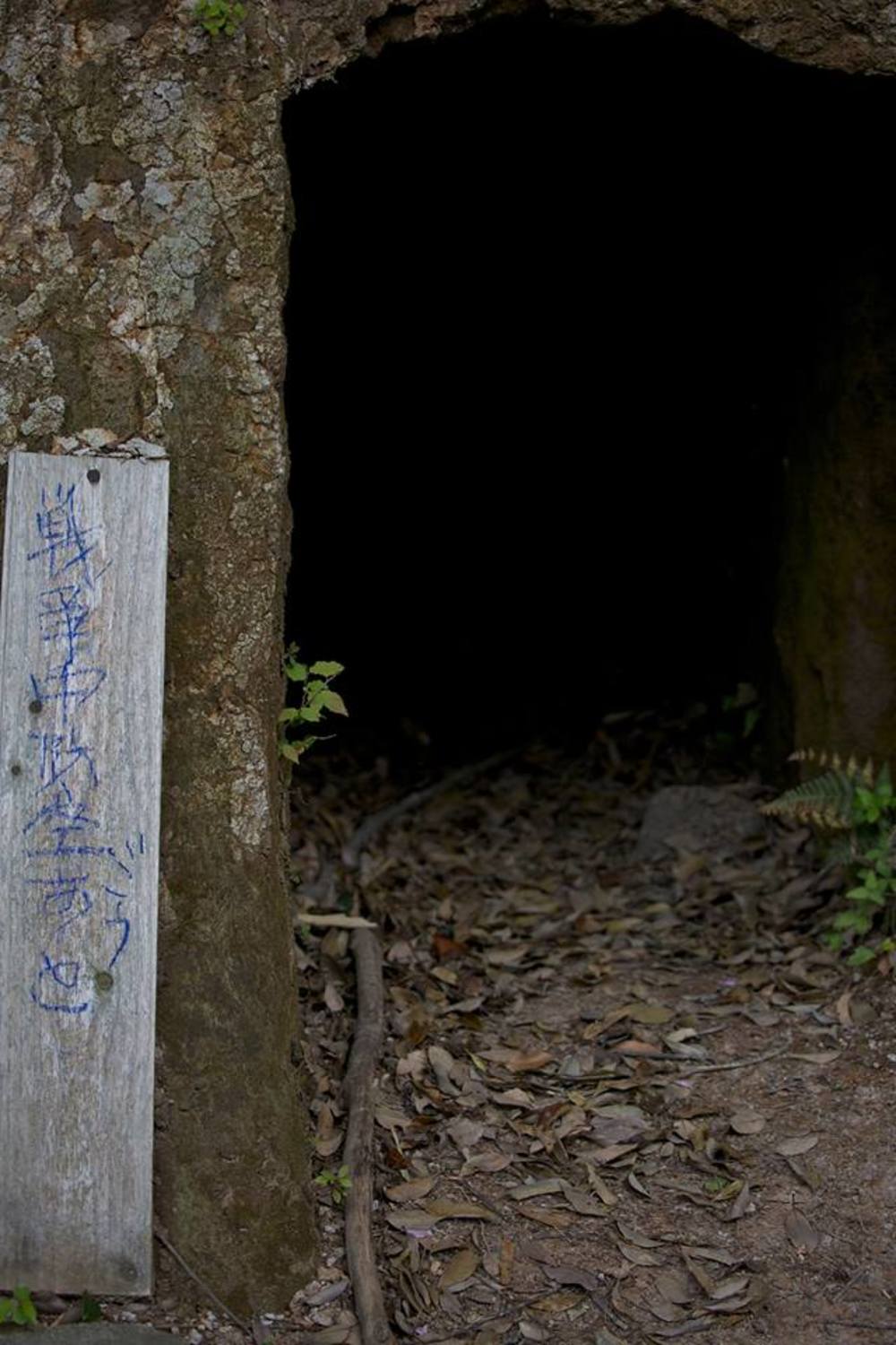 知る人ぞ知る。京都北部・伊根の舟屋群の写真10