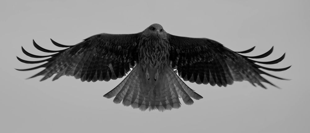 知る人ぞ知る。京都北部・伊根の舟屋群の写真11