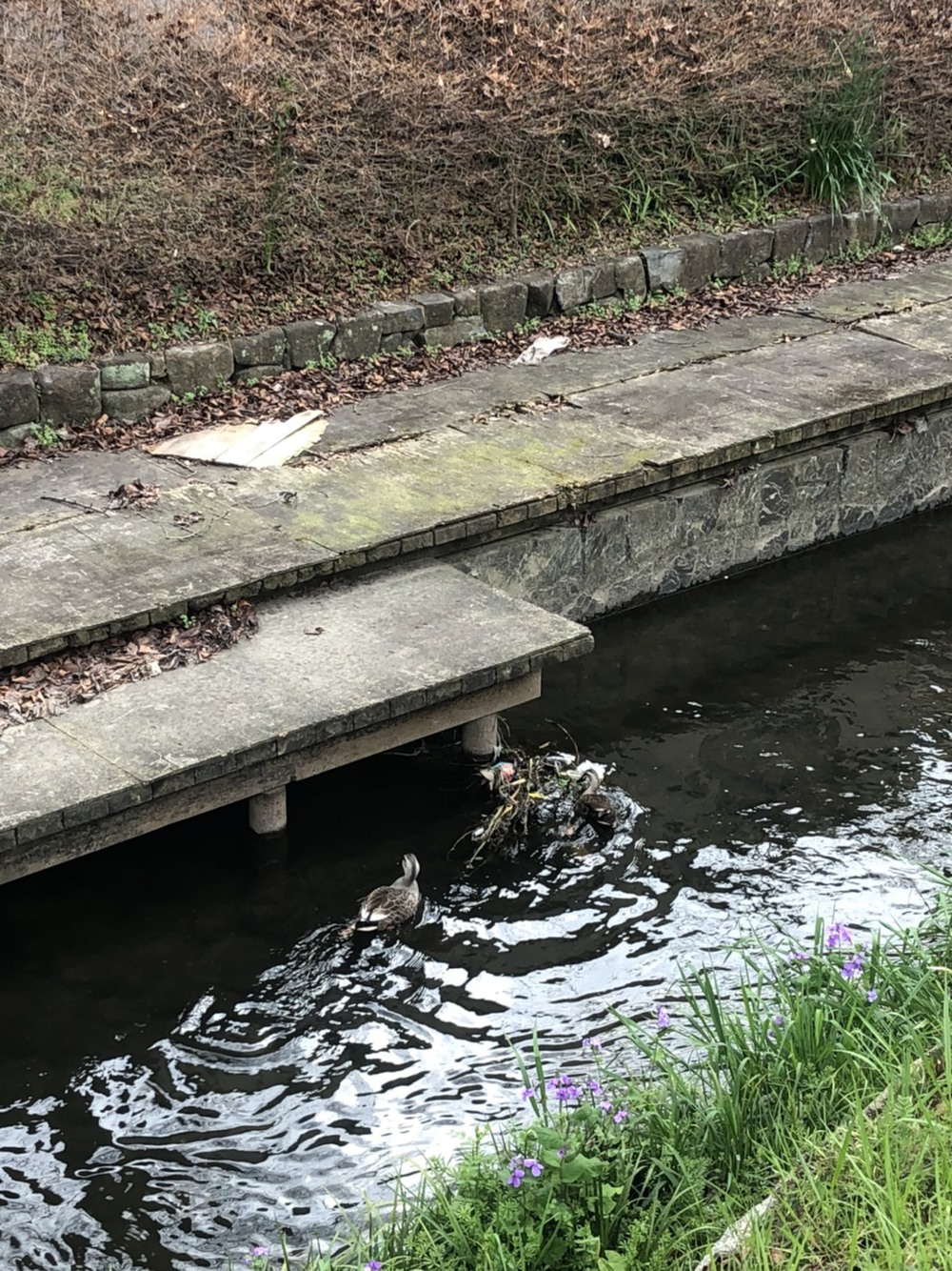 元住吉から向ヶ丘遊園のパン屋さんへの写真3
