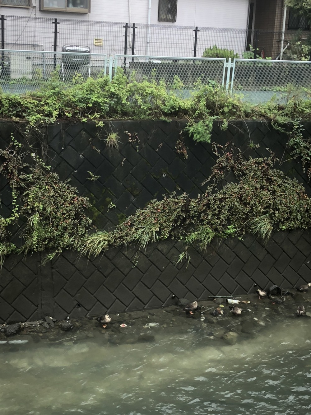 元住吉から向ヶ丘遊園のパン屋さんへの写真4